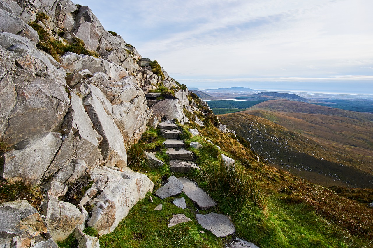 Is it True There are No Snakes in Ireland?