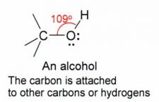 Alcohol Dissipation Rate Chart