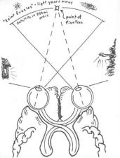 depth perception objects judging distance encyclopedia 2000