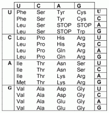 Standard Genetic Code Chart